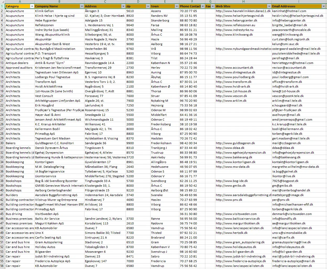 Baza de date a companiilor din Danemarca EXCEL Download 5
