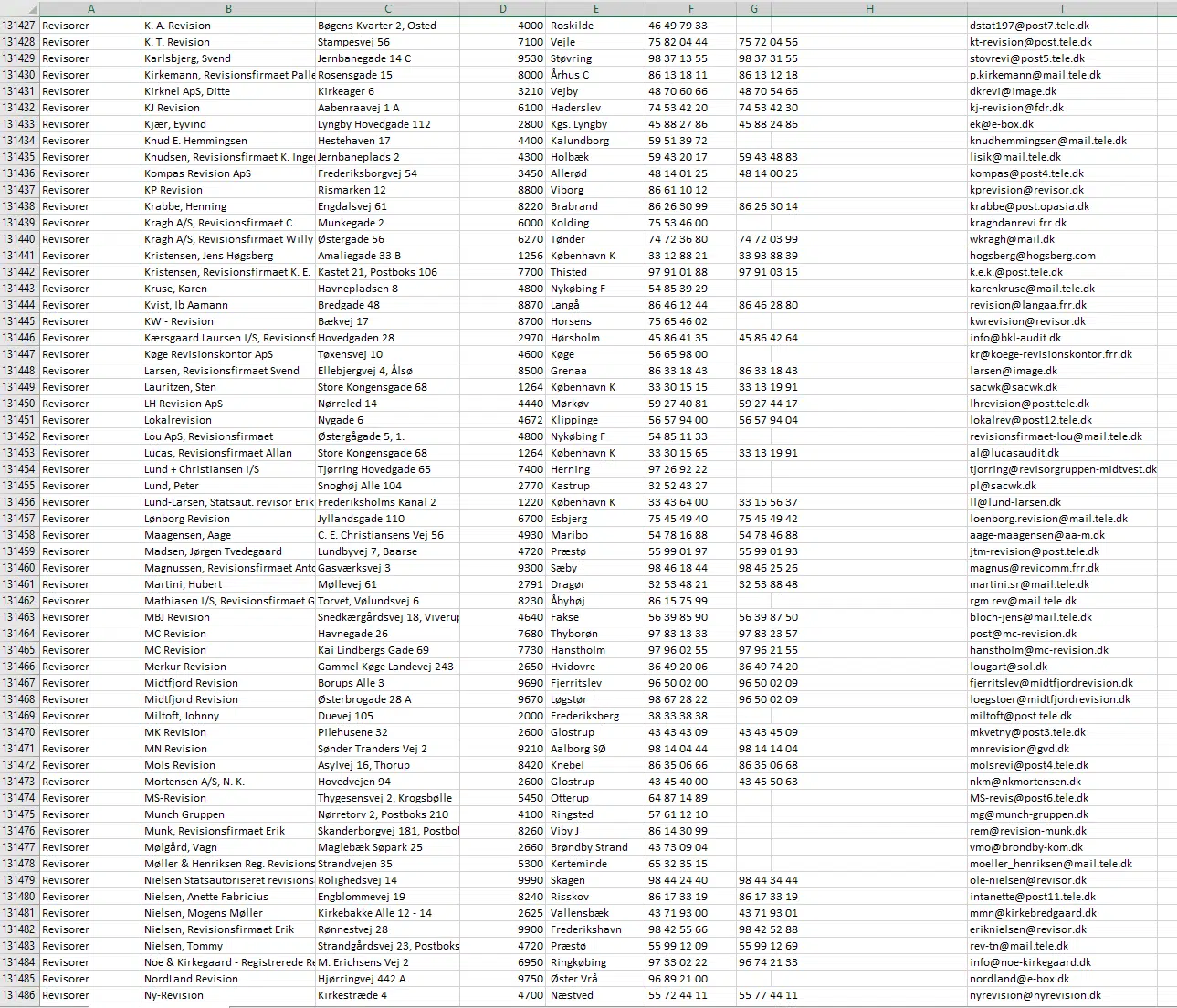 Baza de date a companiilor din Danemarca EXCEL Download 7