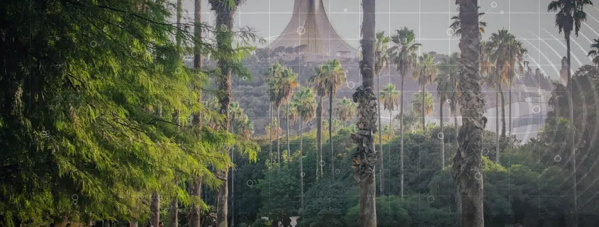 بيانات الشركات المفتوحة في الجزائر: المصادر الرسمية، وواجهات برمجة التطبيقات، وحقوق إعادة الاستخدام